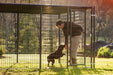 Tarter Kennel Shade Cover (10 ft. X 10 ft.) - Tarter