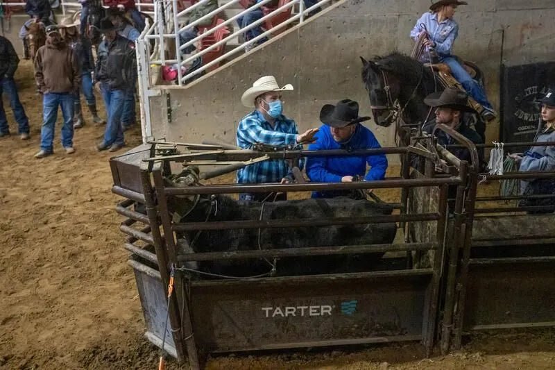Tarter Manual Roping Chute – Economy - Tarter