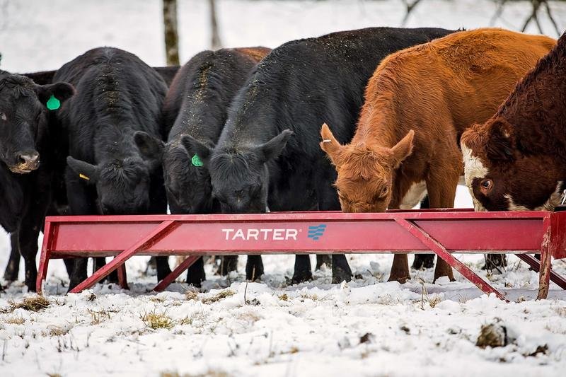 Tarter Metal Grain Feeder - Tarter