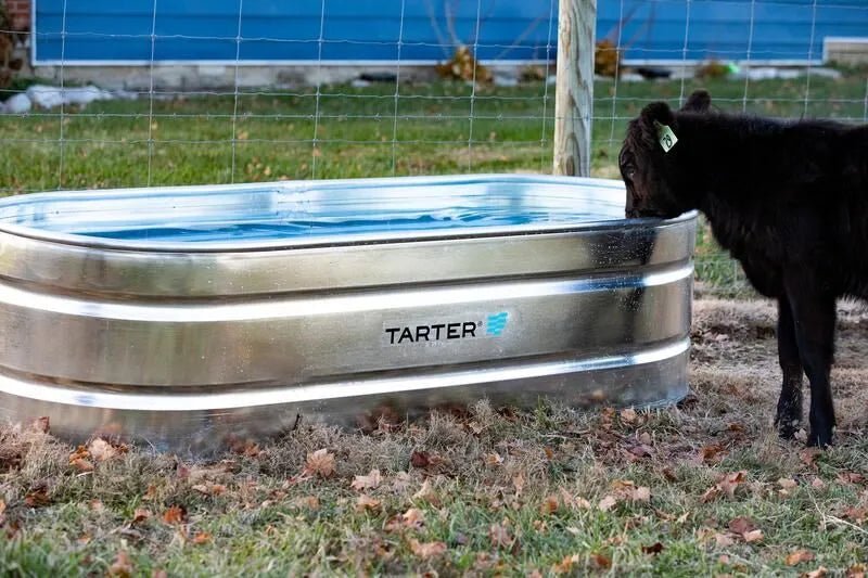 Tarter Oval Mega 300 - Tarter