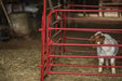 Tarter Pipe Panel Walk - Thru - Tarter