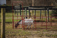 Tarter Pipe Panel Walk - Thru - Tarter
