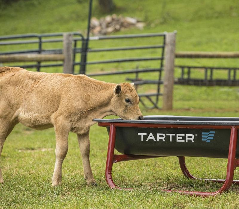 Tarter Poly Bunk Liners - Tarter
