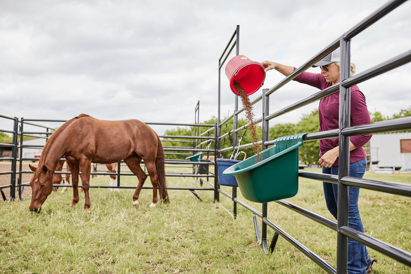 Tarter Portable Gate Feeders - Tarter
