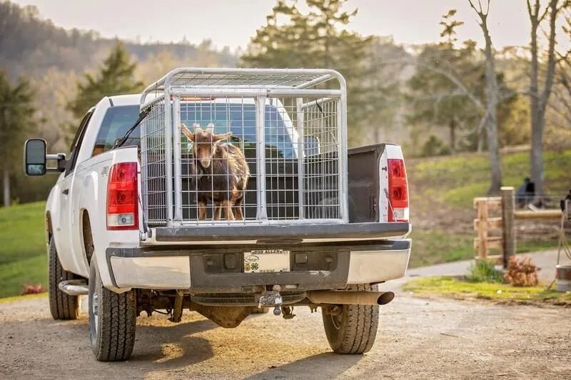 Tarter Small Animal Transporter - Tarter