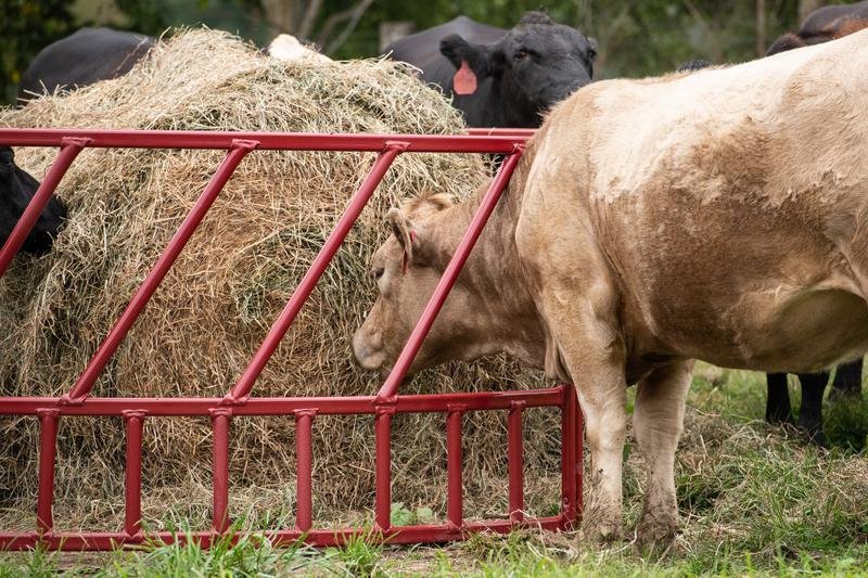 Tarter SteelCor Cattle Hay Feeder - Tarter