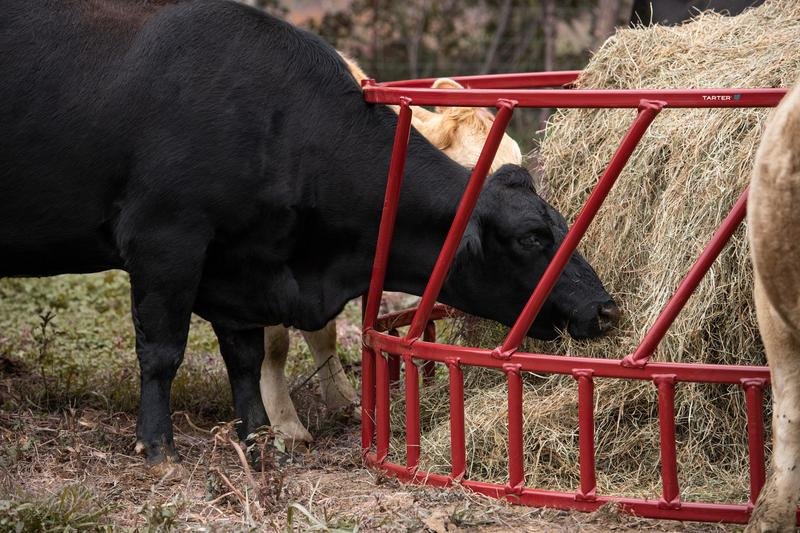 Tarter SteelCor Cattle Hay Feeder - Tarter