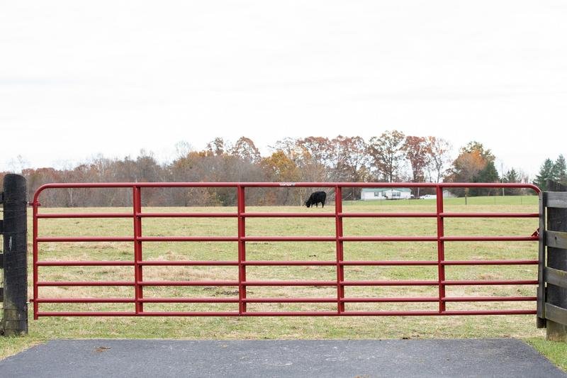 Tarter Steelmax Stock Gate - Tarter