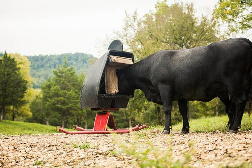 Tarter Super - Duty Mineral Feeder - Tarter