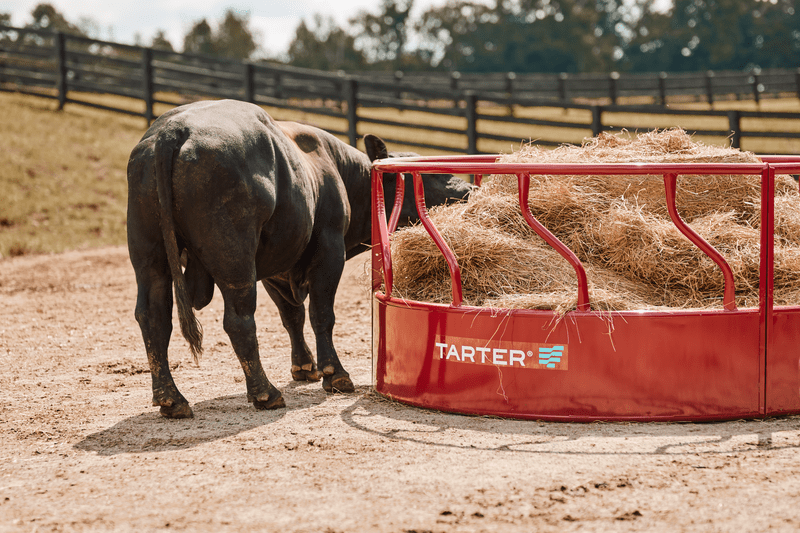 Tarter Titan Bull Hay Feeder - Tarter