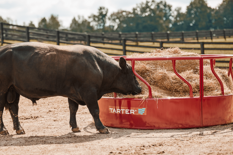 Tarter Titan Bull Hay Feeder - Tarter