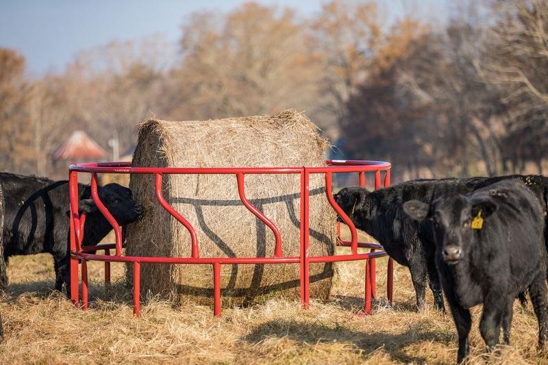 Tarter Titan Cattle Feeder - Tarter