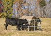 Tarter Titan Galvanized Cattle Feeder - Tarter