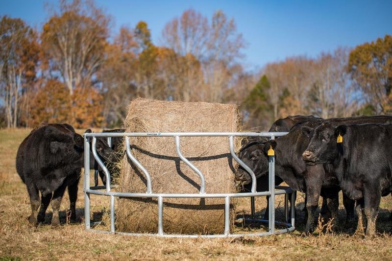 Tarter Titan Galvanized Cattle Feeder - Tarter