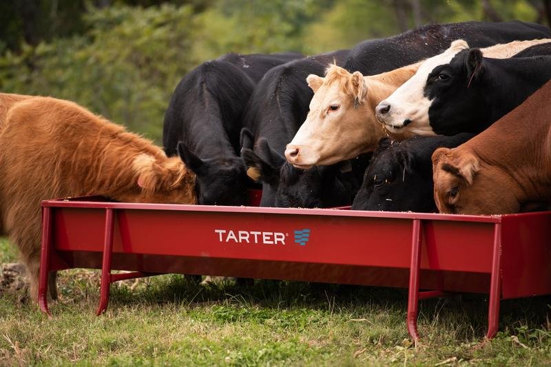Tarter Titan Grain & Silage Feeder - Tarter