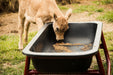 Tarter Titan Poly Bunk Feeders - Tarter