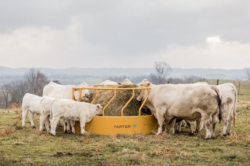 Tarter Titan Tall Bull Feeder - Tarter