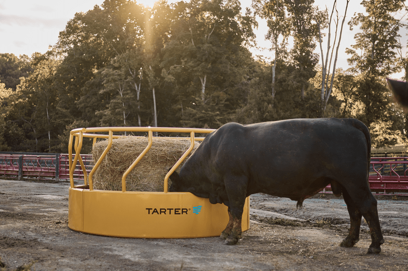 Tarter Titan Tall Bull Feeder - Tarter