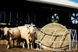 Tarter Valuline Galvanized Cattle Bale Feeder - Tarter