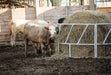 Tarter Valuline Galvanized Cattle Bale Feeder - Tarter