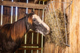Tarter Wall Mount Galvanized Manger Feeder - Tarter