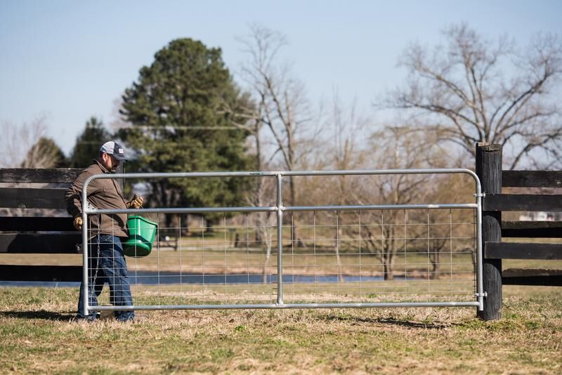 Tarter Watchman Galvanized Wire Mesh Gate - Tarter