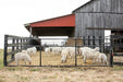 Tarter Watchman Wire Mesh Gate - Tarter