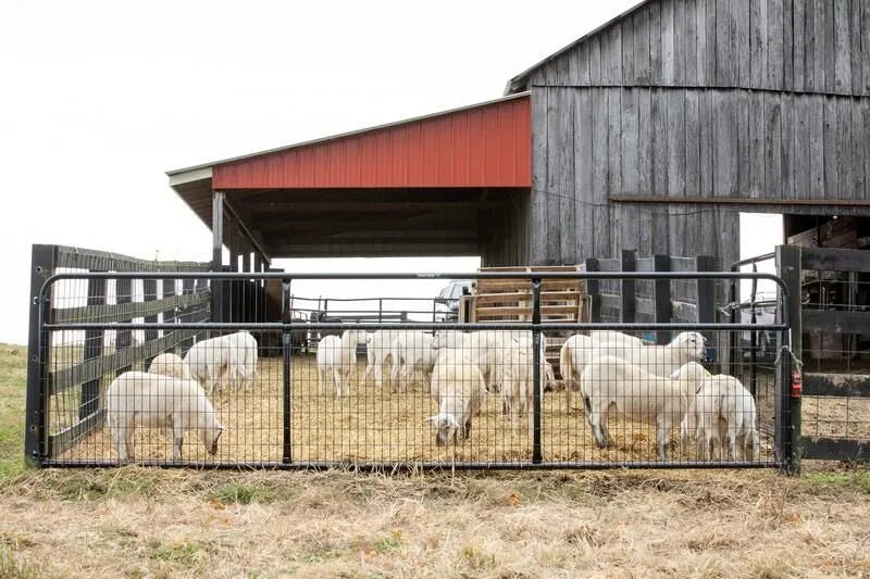 Tarter Watchman Wire Mesh Gate - Tarter