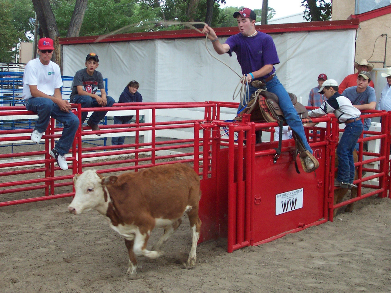 Horse Savers